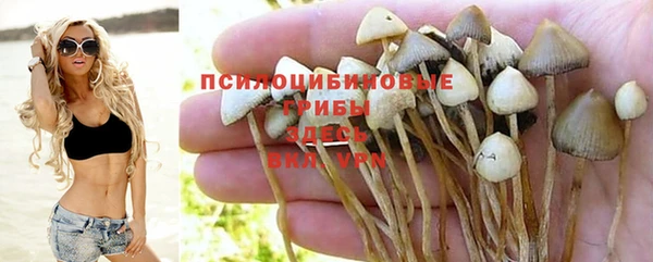 PSILOCYBIN Вязники